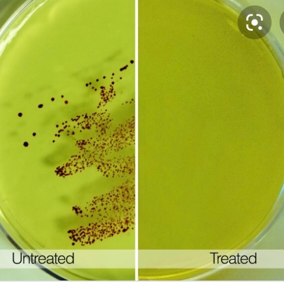 Tech Candy UV Sanitizer - Picture 3 of 6